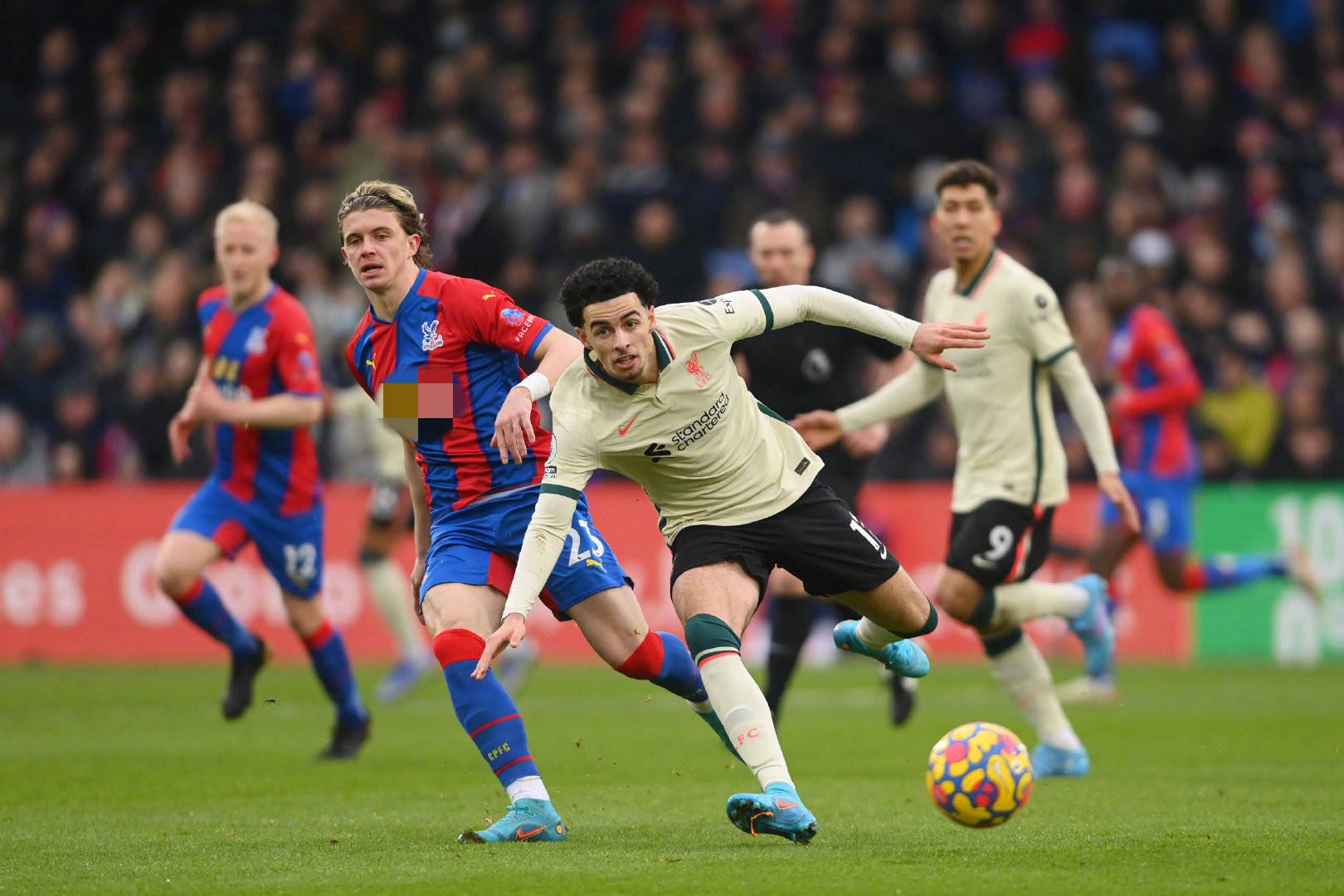 有其复杂性 有其复杂性